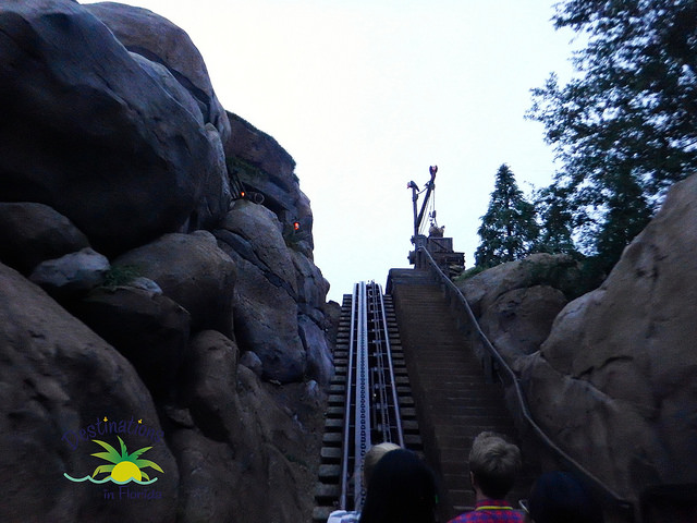 14442552554_601bea6123_z