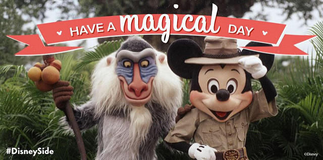 16964739128_6a0f7a1397_z