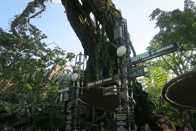 34192666103_3943319680_z