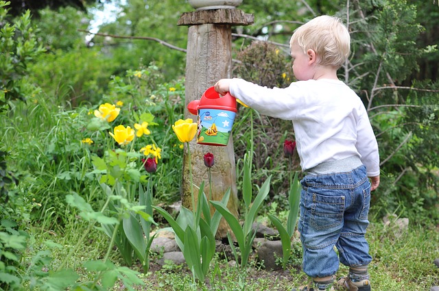 child-559407_640.jpg