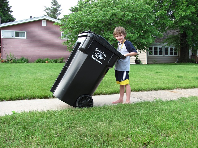 waste-384790_640