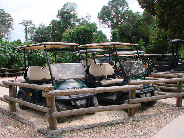 Rental Golf Carts at the Cabins at Fort Wilderness