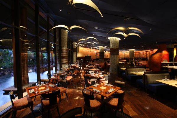 Inside Jiko at Disney's Animal Kingdom Lodge