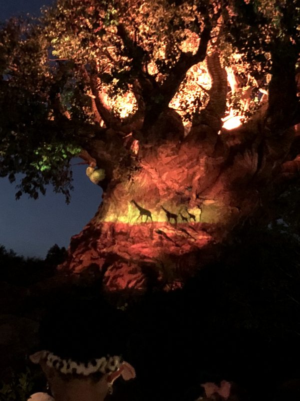 The Tree Awakens in Disney's Animal Kingdom