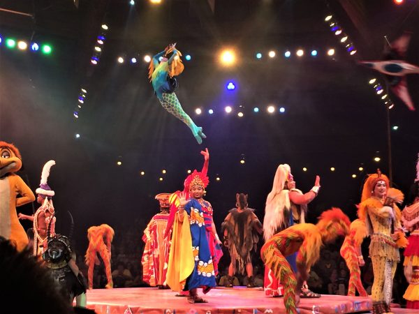 The finale of Festival of the Lion King Show in Disney's Animal Kingdom