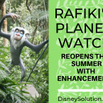 Rafiki's Planet Watch