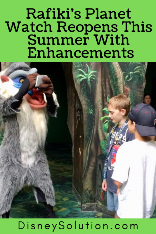Rafiki's Planet Watch