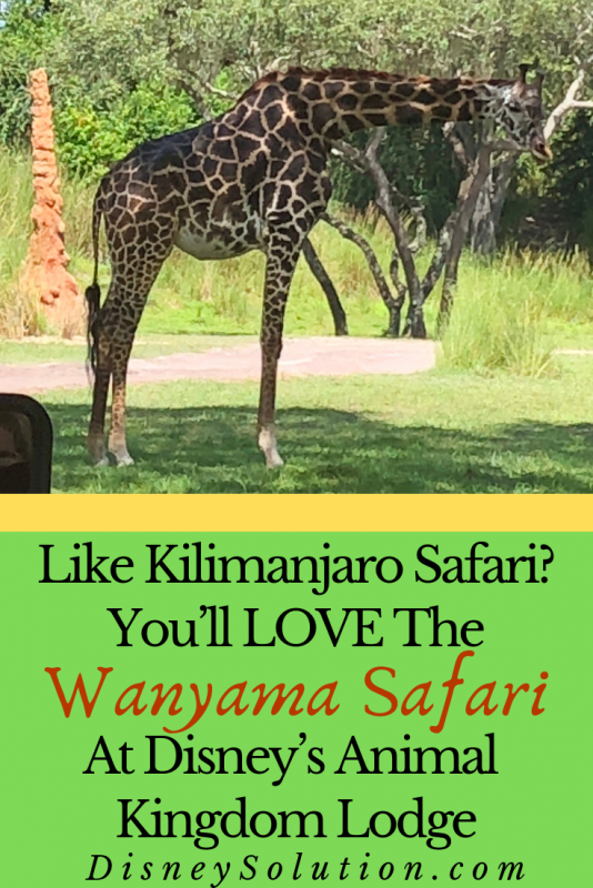 Wanyama Safari at Disney's Animal Kingdom Lodge