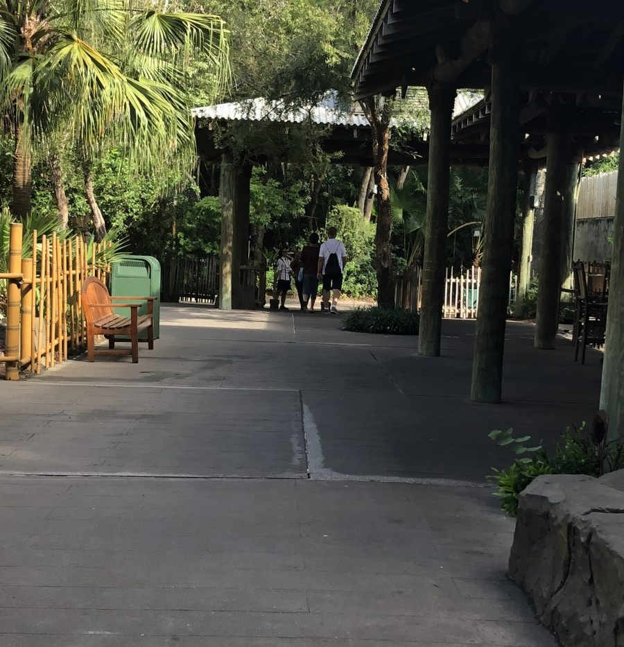 "Secret entrance" inside Rainforest Cafe at Disney's Animal Kingdom