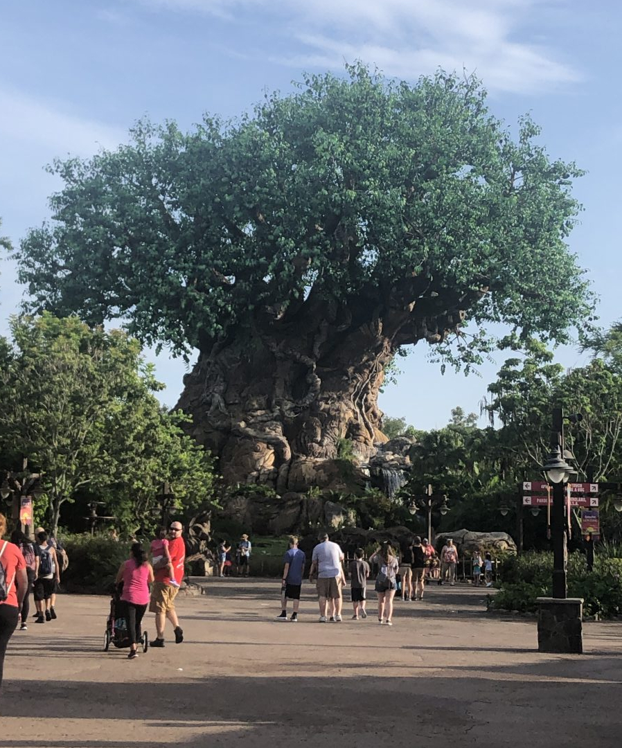 The Tree of Life in Animal Kingdom on a day with Extra Magic Hours