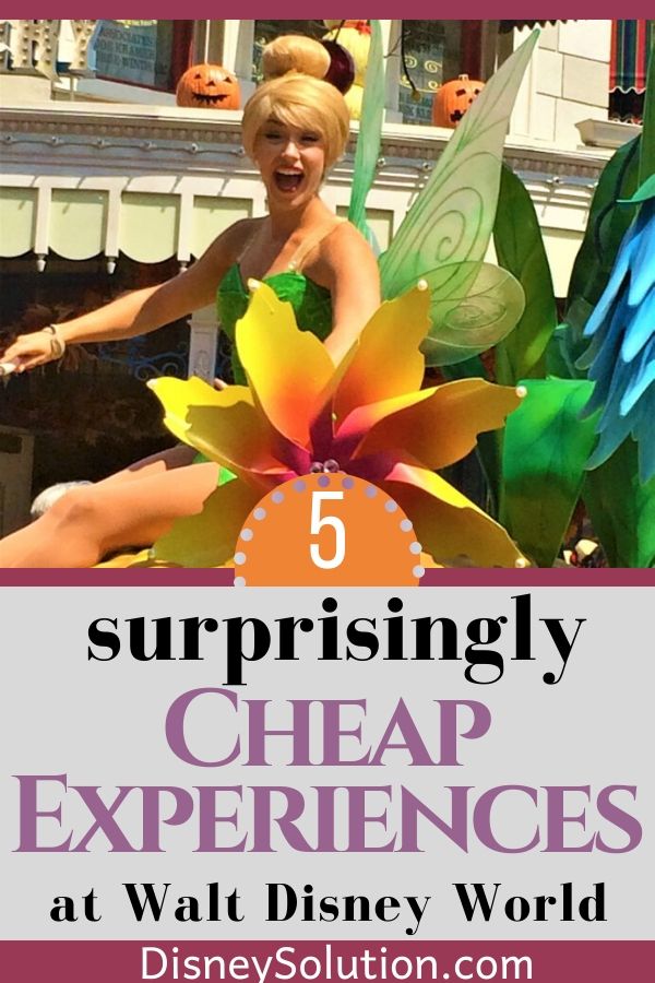 5 surprisingly cheap experiences at wdw