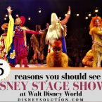 5 Reasons you should see the Disney Stage Shows