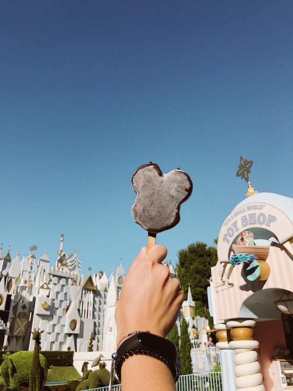 Holding up a Mickey Premium Bar in front of "It's a Small World"