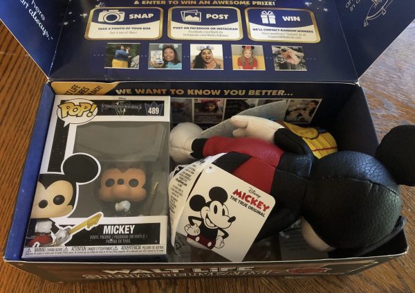 Subscription Disney box from Walt Life