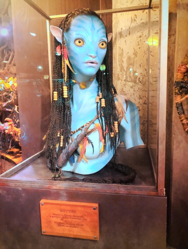 Na'vi bust inside Windtraders Shop at Disney's Animal Kingdom