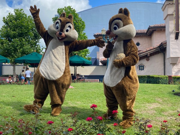 Chip and Dale hanging out in Hollywood Studios