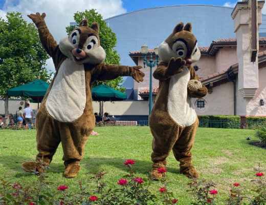 Chip and Dale hanging out and playfully posing in Hollywood Studios