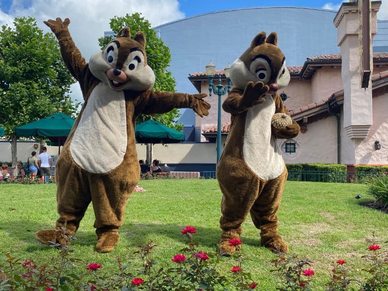 Chip and Dale hanging out and playfully posing in Hollywood Studios