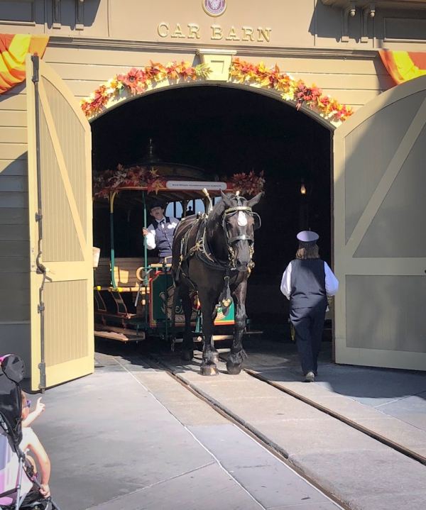 Horse walking out of the Car Barn, towards Main Street USA, in Magic Kingdom in Walt Disney World