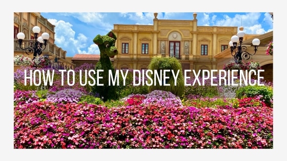 Popular Posts photo for the post - How to Use My Disney Experience