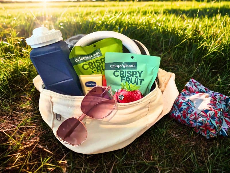 A crossbody bad sitting on the grass with theme park essentials in it