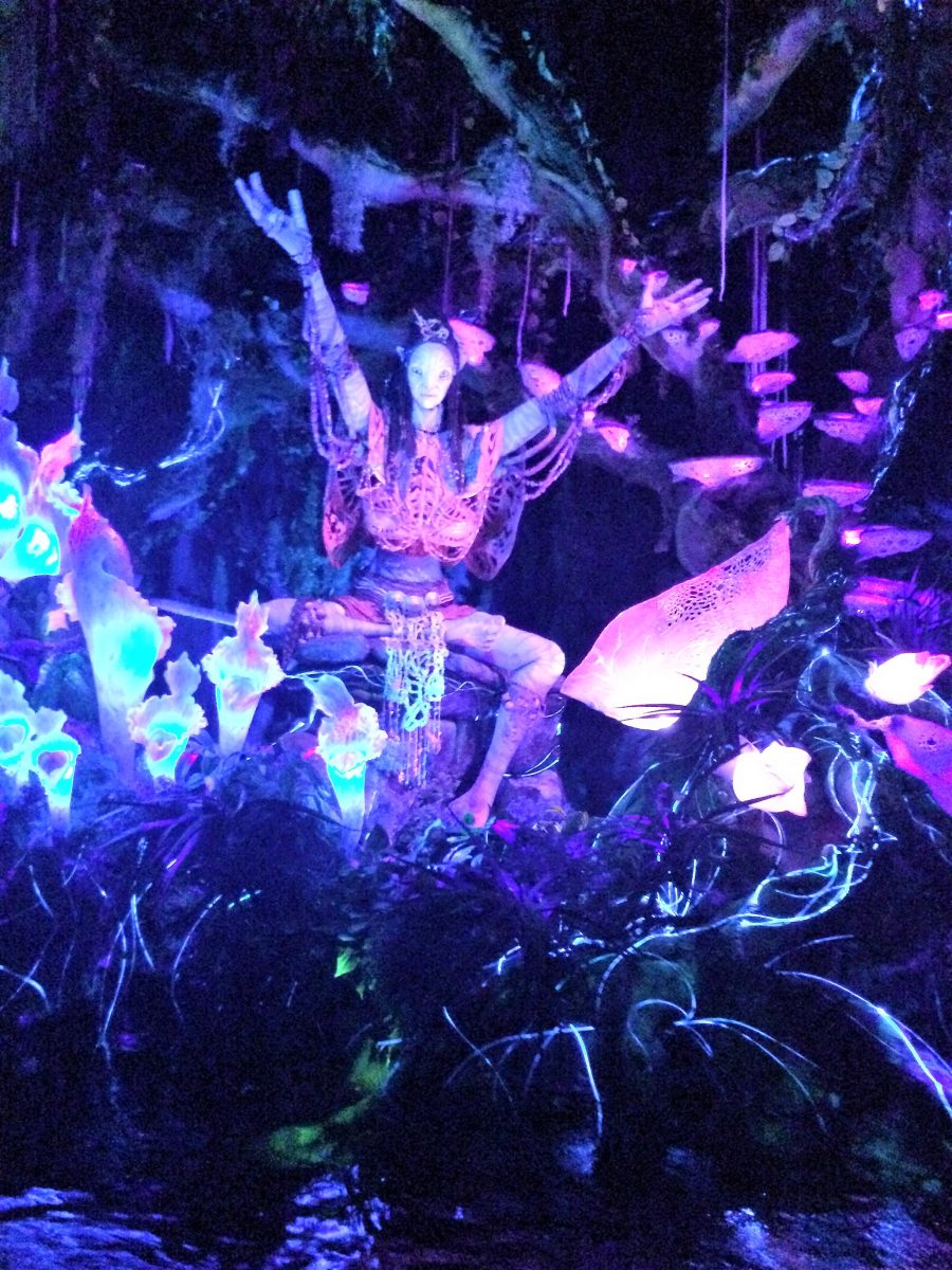 Shaman in the Na'vi River Journey Attraction in Animal Kingdom